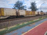 ELBR FTT-032126-5